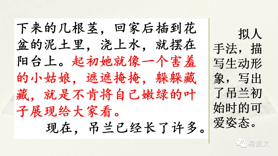 如何通过力量训练改善篮球运动员的速度和敏捷性?_2